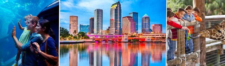 Activities to Enjoy in Tampa: Before or After Your Cruise