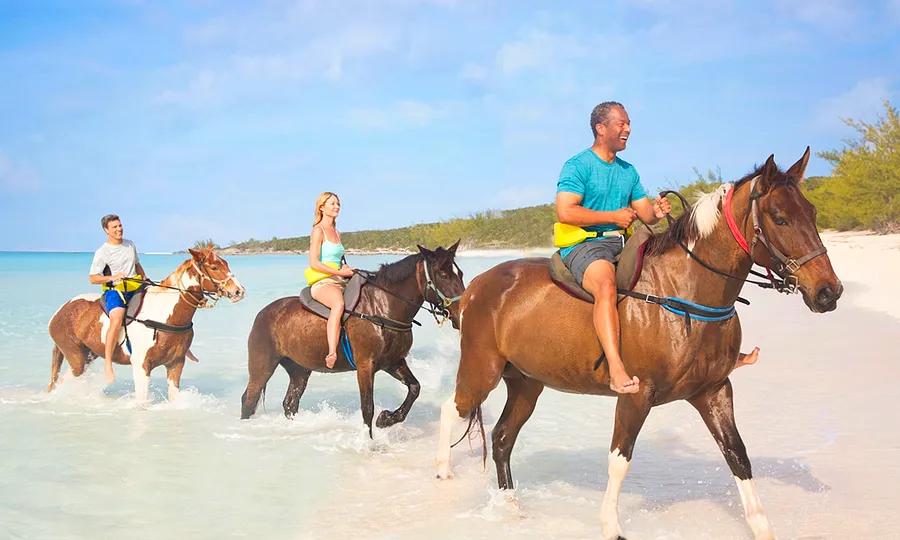 Fauna of Half Moon Cay