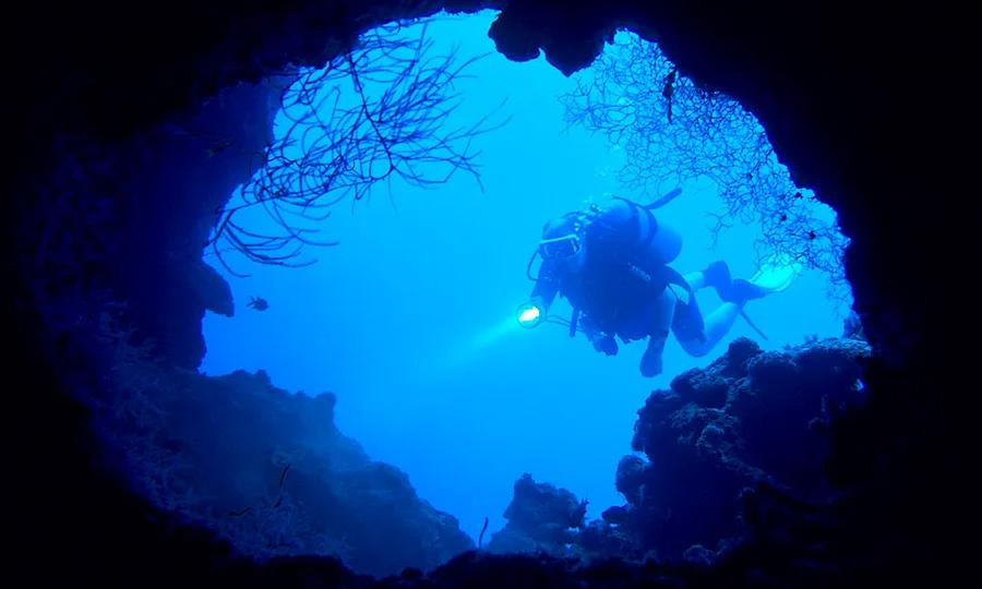 Nighttime Tropical Scuba Diving