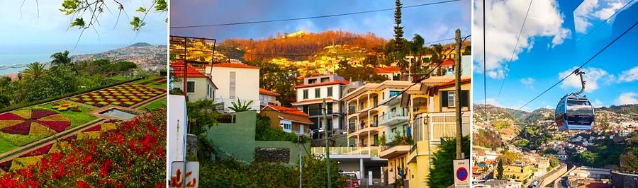 Top 10 Activities to Enjoy in Funchal