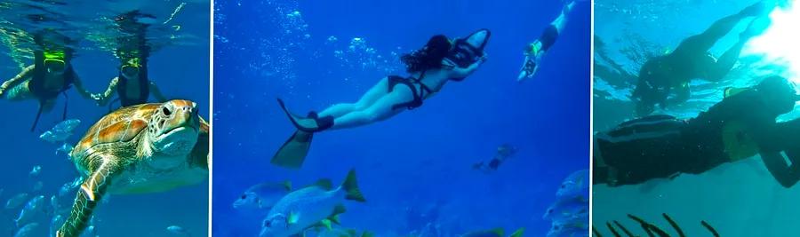 Top 10 Snorkeling and Diving Spots in the Eastern Caribbean