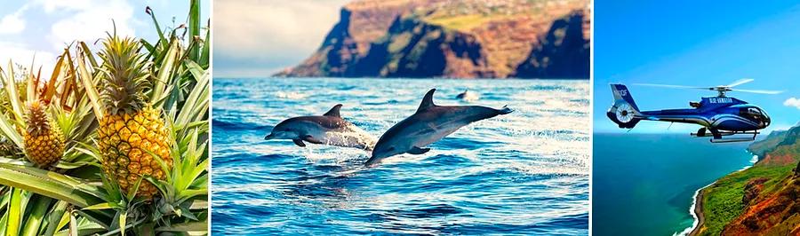 Top 10 Hawaiian Shore Excursions