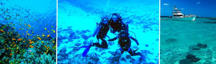 Top Dive Locations in the Caribbean