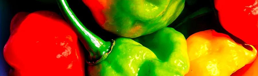 Curry: The Flavor of Island Living