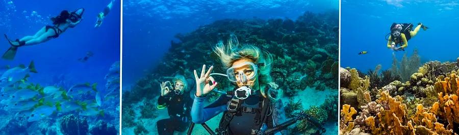 Top 10 Destinations for Snorkeling and Diving in the Western Caribbean