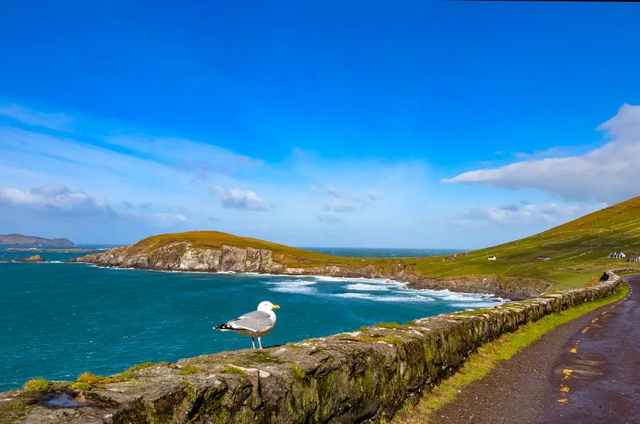 The ultimate guide to the Wild Atlantic Way road trip in Ireland