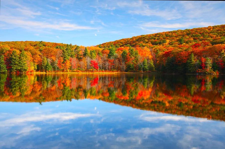 Autumn is upon us: Top locations to witness the changing leaves this year