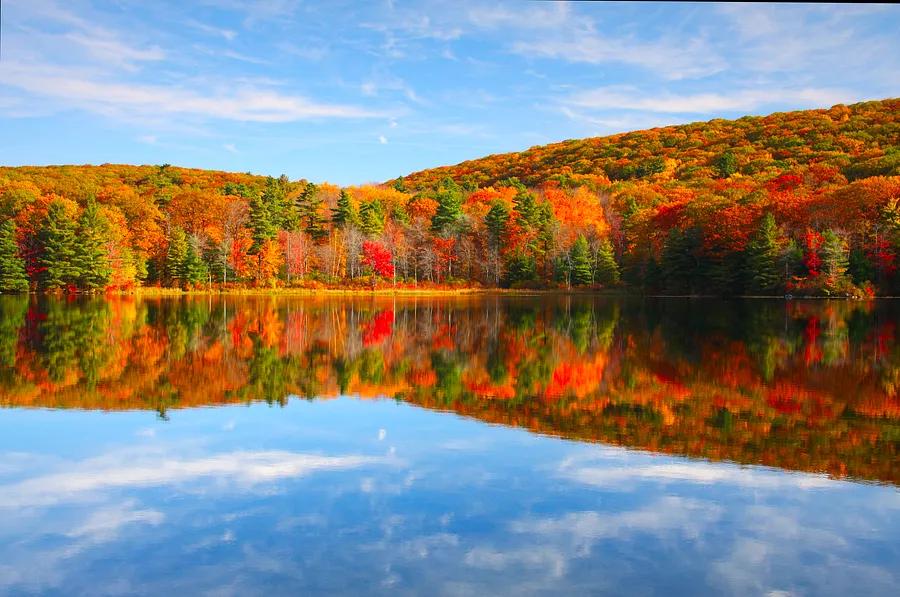 Autumn is upon us: Top locations to witness the changing leaves this year