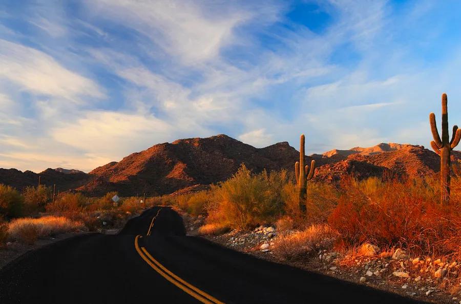 Planning a Road Trip from Phoenix? Here Are 6 Must-Visit Destinations