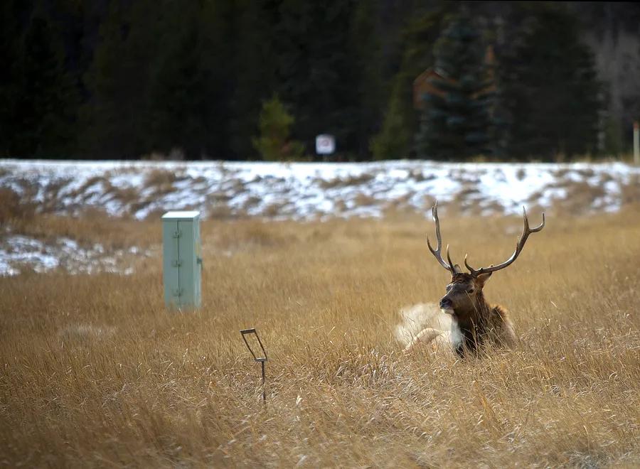 Canada is offering free park passes to Americans: Here's how to obtain one and where to use it