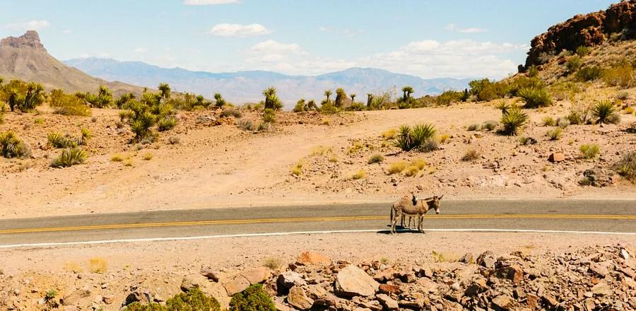 These Images Reveal the Untold Story of Route 66