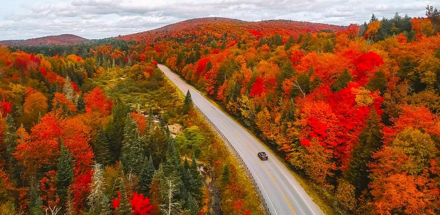 The Future of Fall Foliage: What to Expect