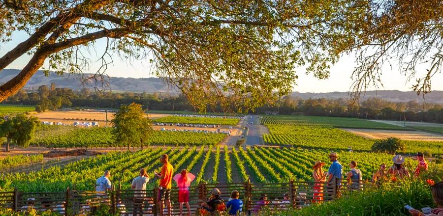 19 Must-See Wineries & Tasting Rooms in Sonoma County, California