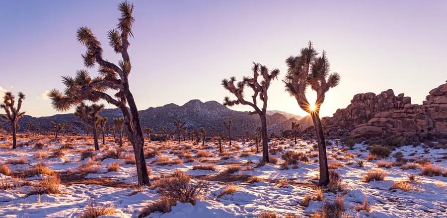 The Ultimate Winter Road Trips in the U.S.