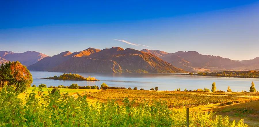 In New Zealand, These Stunning Locations Are Essential for Wine Enthusiasts