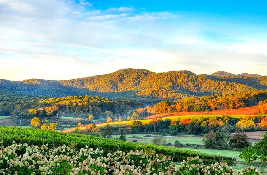 Long Weekend Escapes: Your Guide to Tasting Virginia's Wine Country