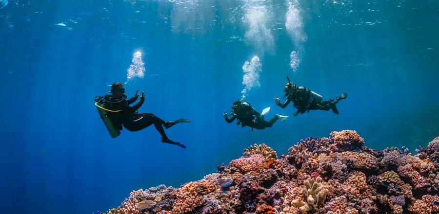 A Diver's Guide to the Top Underwater Exploration Spots Around the Globe