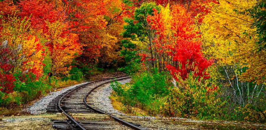 Experiencing Fall Foliage Without a Car Is the Best Way