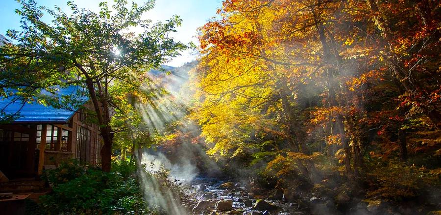 7 Must-Visit Onsens for a Dive into Japanese Hot Spring Traditions