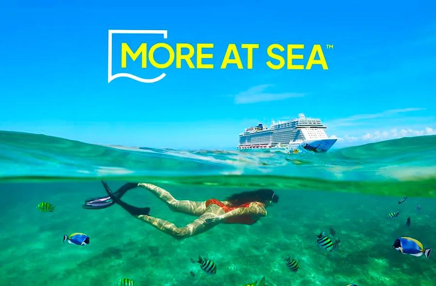 Everything You Need to Know About More At Sea™