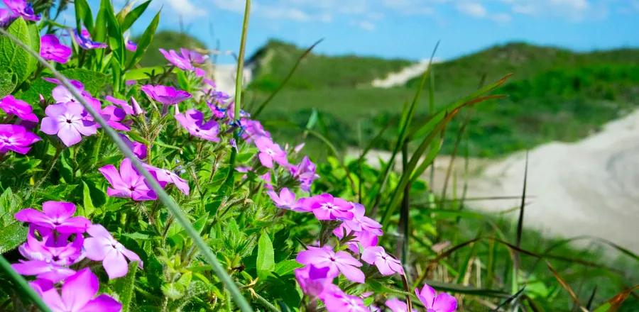 Seeking an Active Beach Getaway? Explore This Coastal Gem