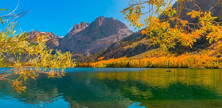 Think California Can't Compete with New England for Fall Foliage? Think Again!