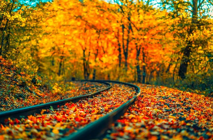 Amtrak autumn promotion: Save 30% or more on travel in the Northeast — hurry up!