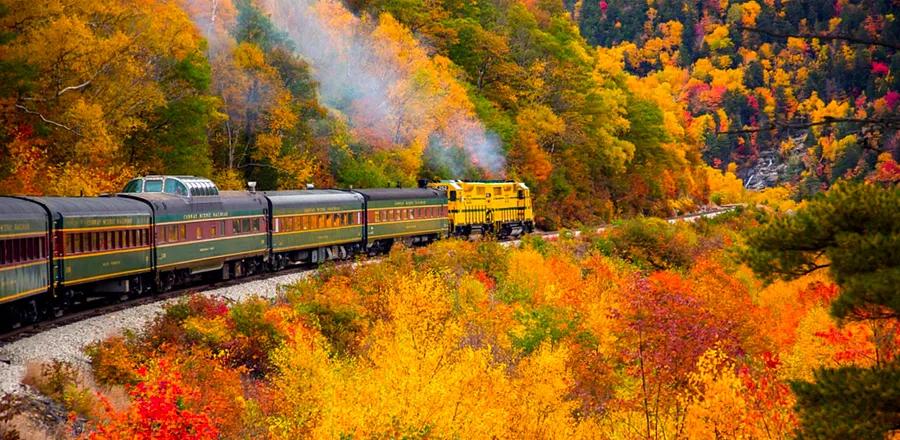 Train Journeys Offer the Best Views of Autumn Colors. Experience These 13 Trips.