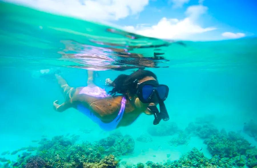 Top Snorkeling & Scuba Diving Destinations in French Polynesia