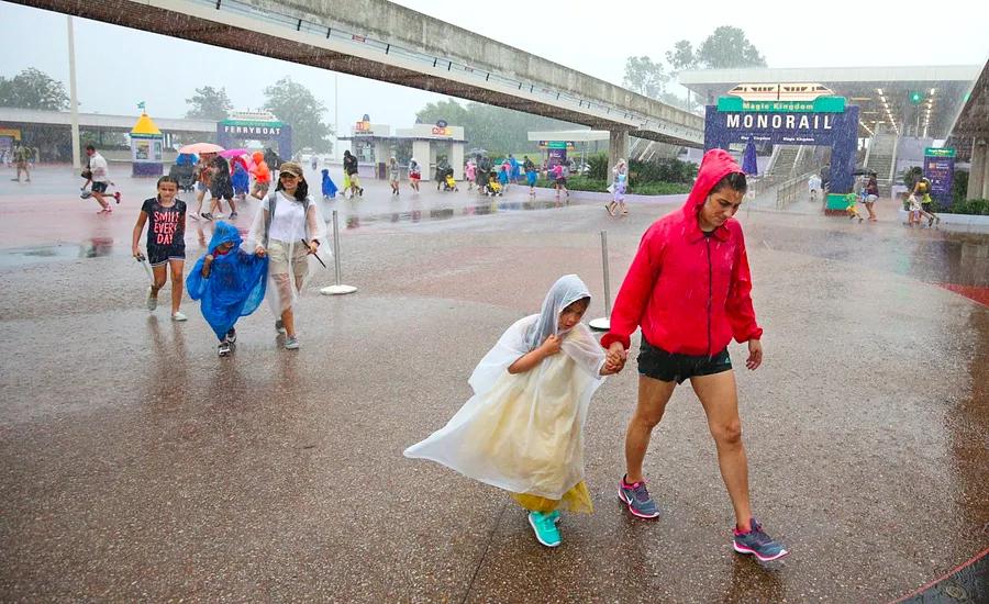 What occurs when a hurricane strikes Disney World