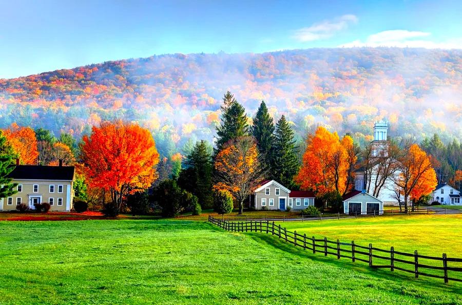 Discover how to enjoy fall foliage even in these bustling cities.