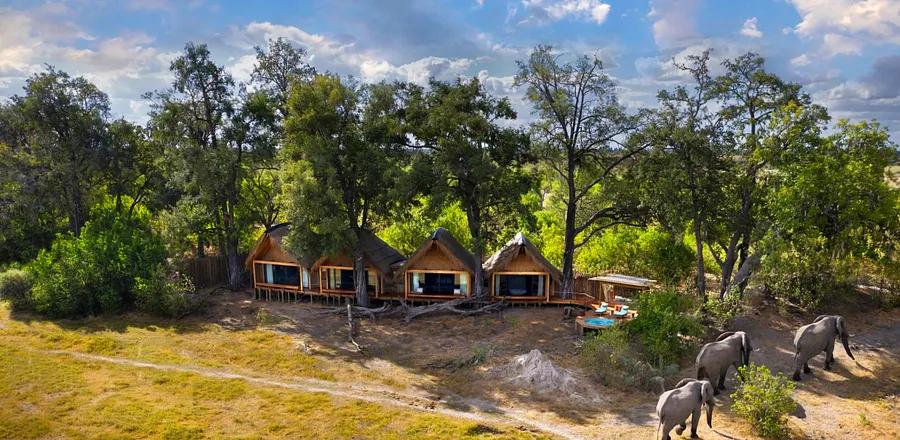 This Newly Established Remote Camp in Botswana is a Paradise for Wildlife Enthusiasts