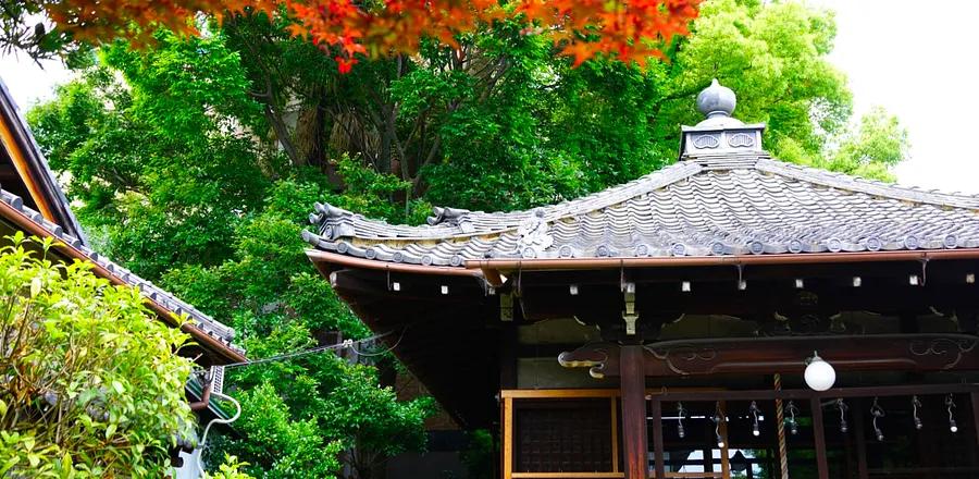 8 Essential Stops on Your Journey Through Japan