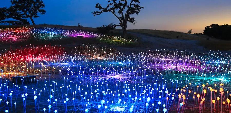 California’s Breathtaking “Field of Light” Returns