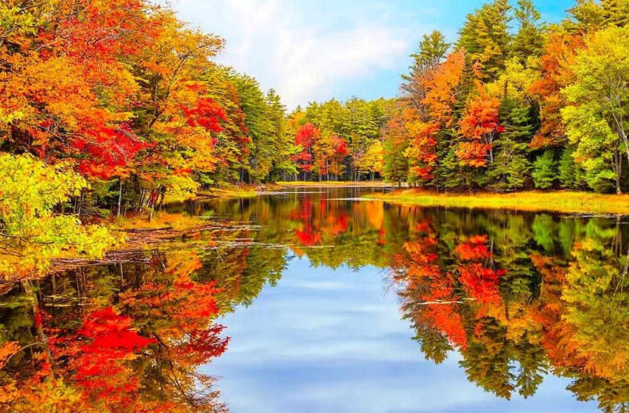 Autumn Leaf Cruises: Top Cruises for Fall Foliage Viewing