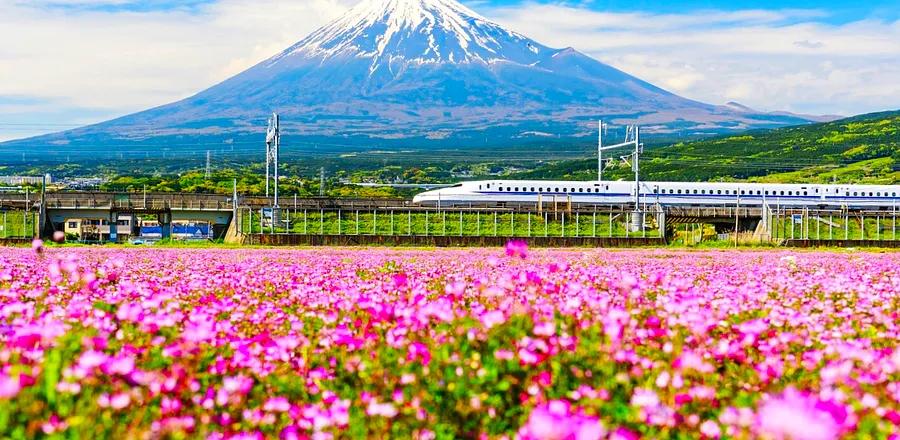 8 Train Journeys for Breathtaking Spring Views