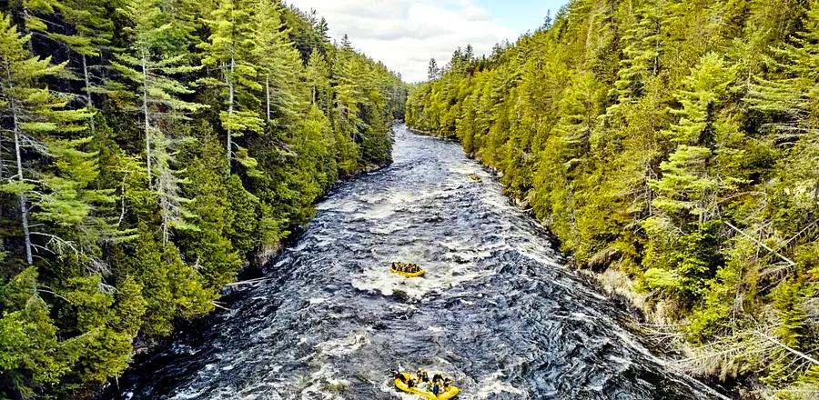 From Lobster Rolls to Picturesque Trails, Maine's Seasonal Delights Await