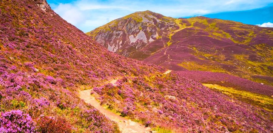 Exploring the Scottish Highlands by Walking, Biking, and Swimming on a Self-Powered Journey