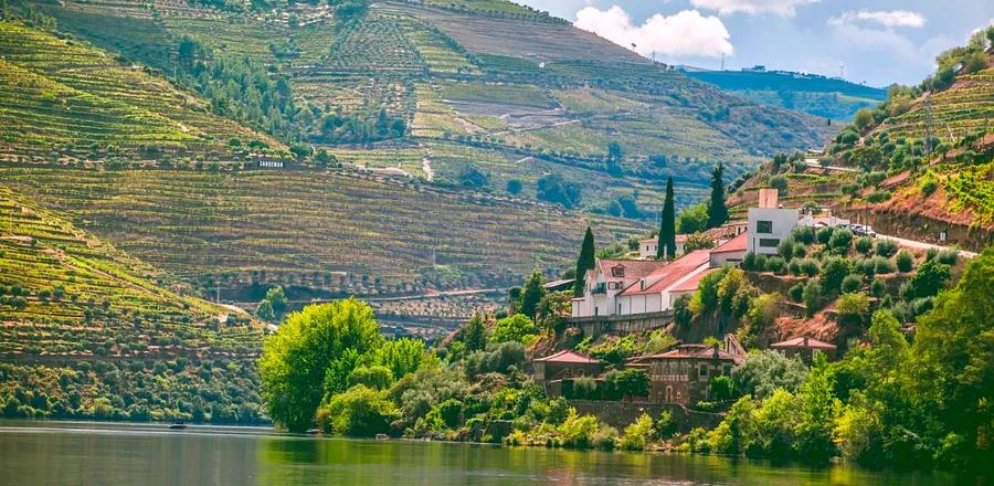 This Scenic Wine Region Is Europe’s Most Overlooked River Cruise Gem