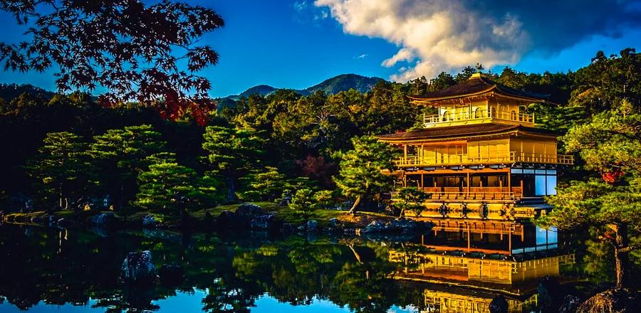 Top 6 Cruises to Japan for Every Type of Explorer