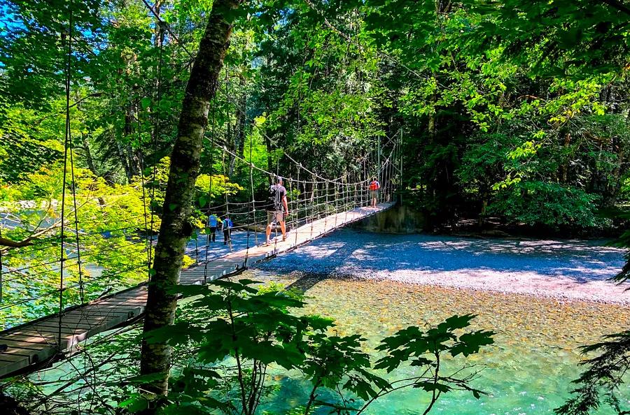 Planning a Family Trip? 10 Tips for Visiting Mount Rainier National Park