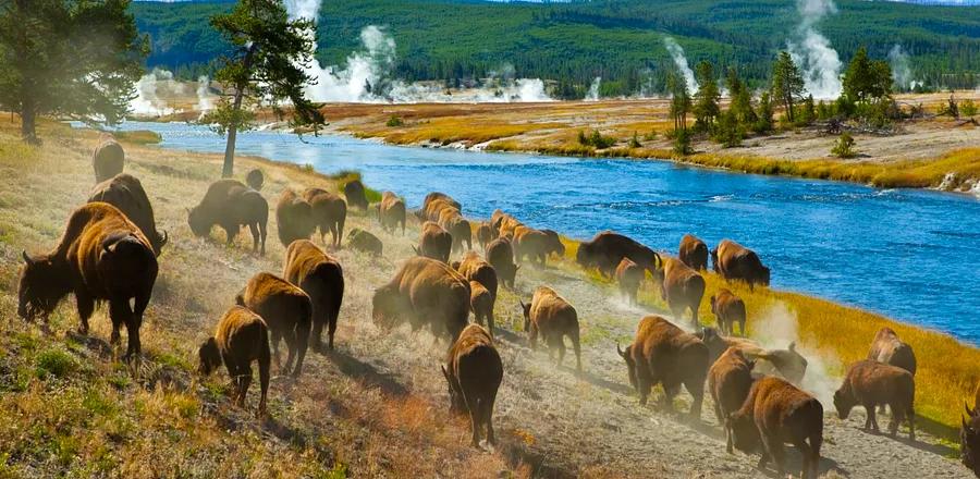 National Parks Face Closure if U.S. Government Shuts Down