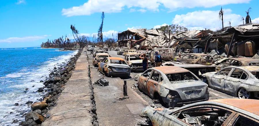 Essential Information on Maui’s Wildfire Recovery and How Travelers Can Contribute