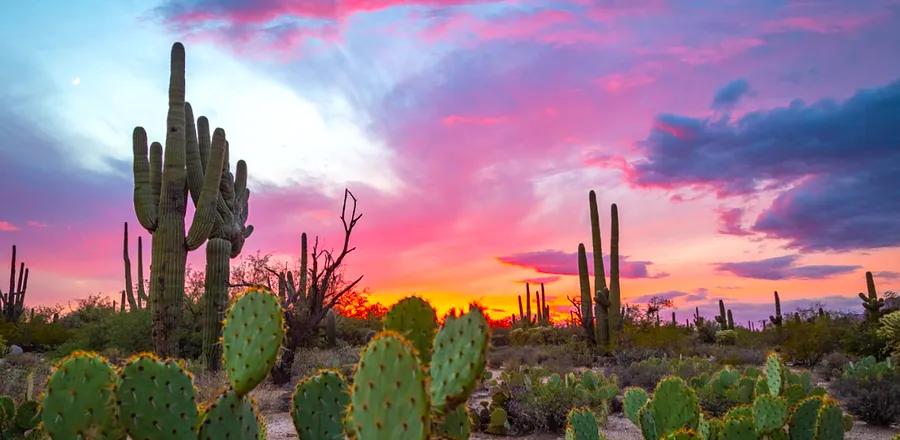 5 Ways to Enjoy the Great Outdoors in Tucson