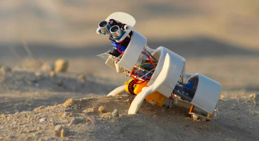 A miniature robot for desert seed planting and a simple solution to reduce ocean plastic: The Global Grad Show envisions a more sustainable future