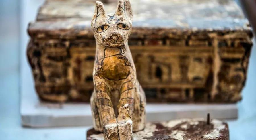 Egypt celebrates rare discovery of mummified lion cubs, cats, and crocodiles