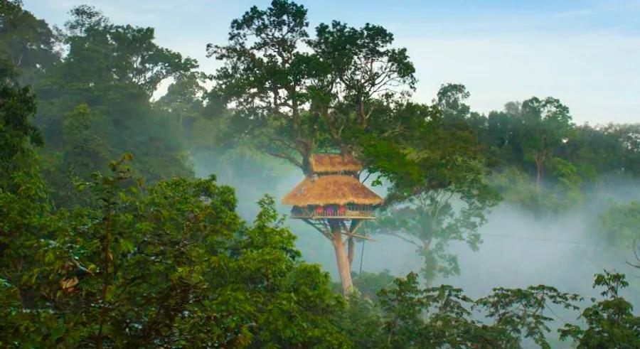 Spend the night in the world’s tallest treehouses in Laos