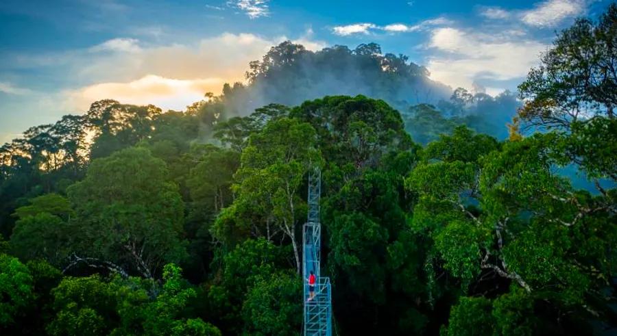 The bridge linking Brunei to Brunei: How will this transformation impact the sultanate’s future?