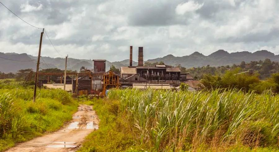 The distinctive character of true Jamaican rum is best experienced untouched