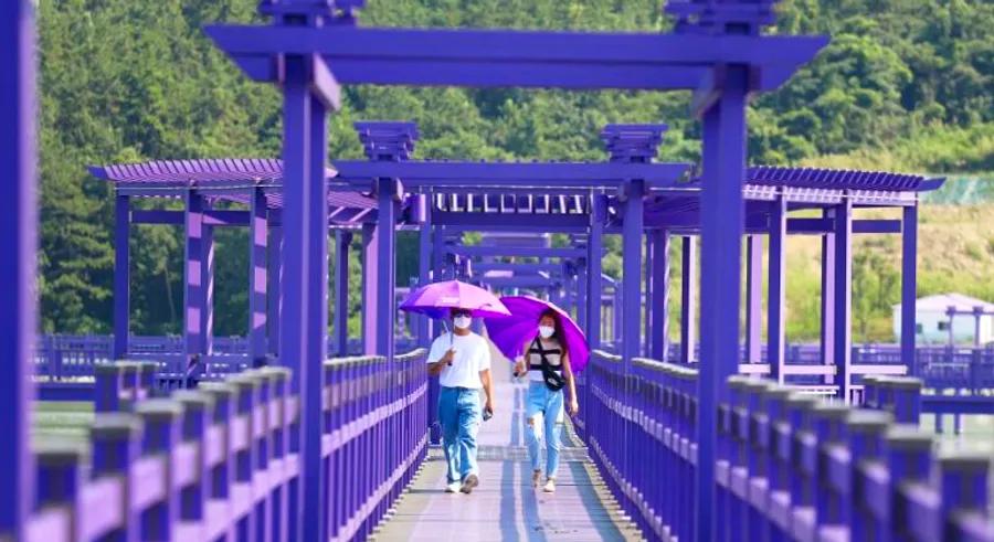 Banwol Island in South Korea, with its stunning purple hues, is a photographer's paradise.